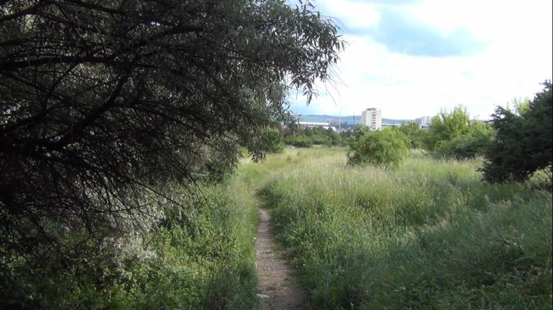 Parlagon. A szállításügyi minisztérium tulajdonában lévő kolozsvári Vasutas Park évek óta gondozatlan •  Fotó: Hevele Lili