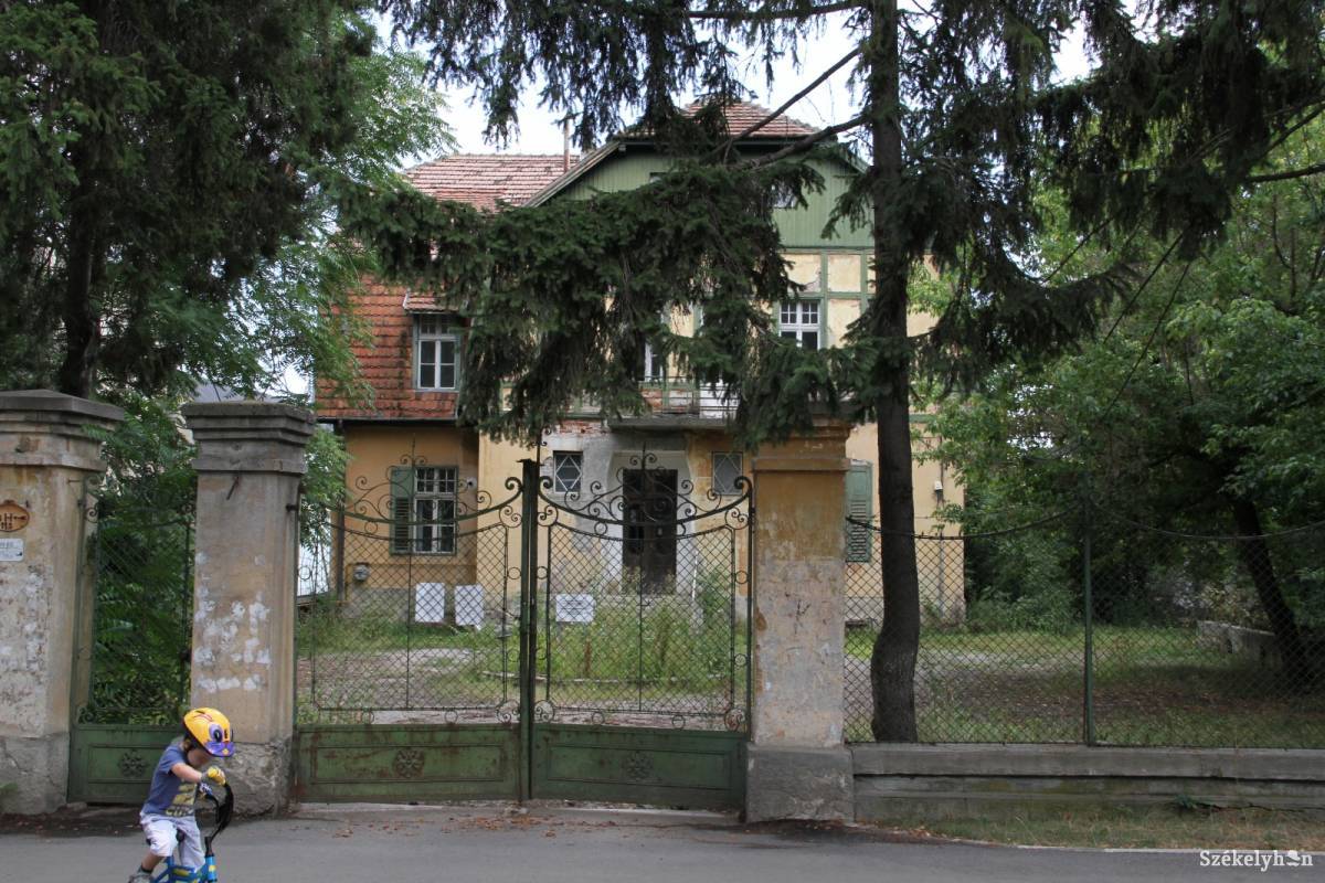 •  Fotó: Nagy D. István