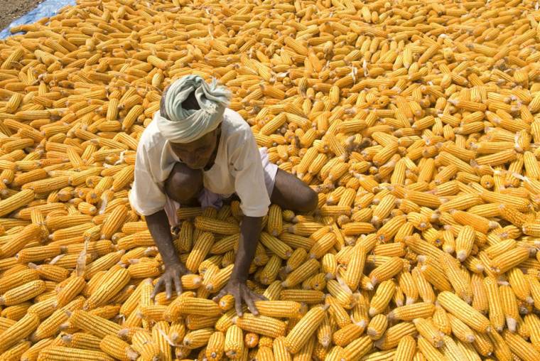 India, a még mindig éhező köztársaság