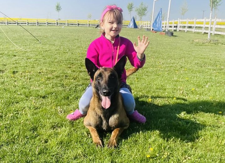 Kutyajó dolog – ha felelősséggel bánik az ember a legjobb barátjával