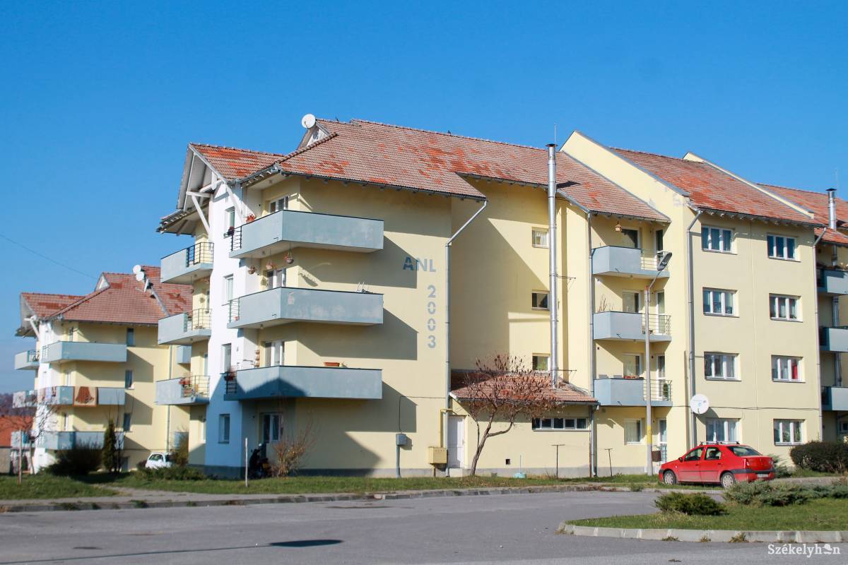 •  Fotó: Pál Árpád