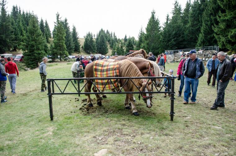 A városiakat is elvárnák a gazdanapokra – tele pénztárcával