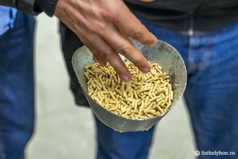 Az UMB Feed takarmánykeverő üzem minden szempontból megbízható tápokat gyárt •  Fotó: Haáz Vince
