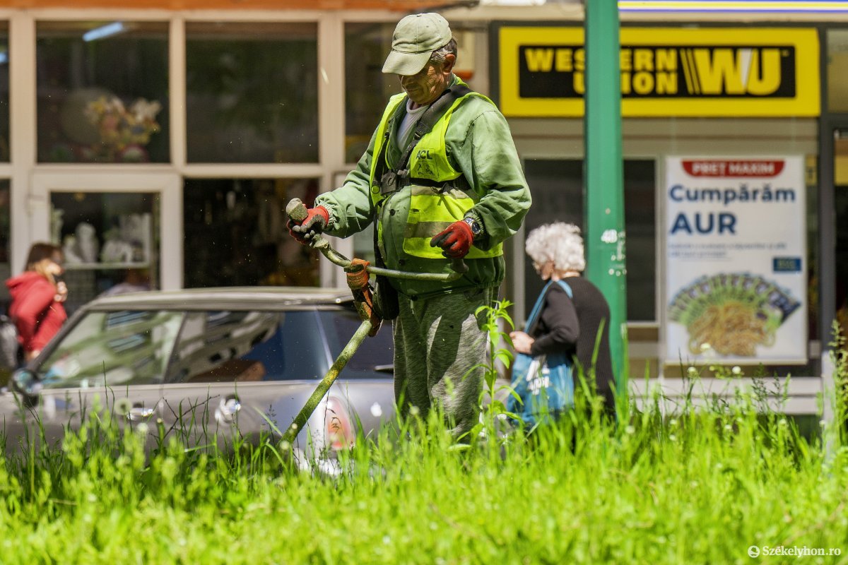 Több helyen nyírják a füvet, de még mindig vannak elhanyagolt terek •  Fotó: Haáz Vince